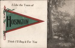 I Like the Town of Hoisington Think I'll But It For You Kansas Postcard Postcard Postcard