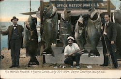 The Worlds Record 4 Hours Catch, July 30th 1904 Santa Catalina Island, CA Postcard Postcard Postcard