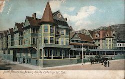 Hotel Metropole, Avalon Postcard