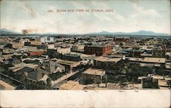 Birds Eye View Postcard