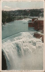 Lower Falls of the Genesee Postcard