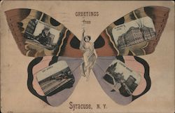 Butterfly Multi-View Syracuse, NY Postcard Postcard Postcard