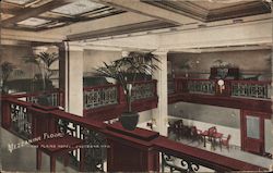 Mezzanine Floor, The Plains Hotel Postcard