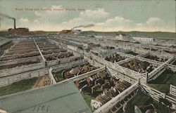 Stock Yards and Packing Houses Postcard