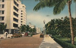 Hotels Along Ocean Drive Postcard