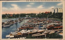 Royal Palm Yacht Basin and Miami River Florida Postcard Postcard Postcard