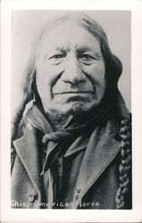 Chief American Horse Postcard