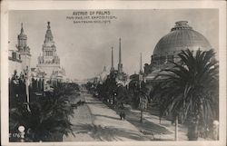 Avenue of Palms - P.P.I.E. 1915 Postcard