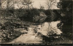 Scene in Island Park Winfield, KS Postcard Postcard Postcard