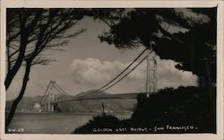 Golden Gate Bridge San Francisco California Postcard Postcard Postcard