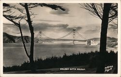 Golden Gate Bridge San Francisco, CA Postcard Postcard Postcard