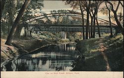 View On Mud Creek Postcard