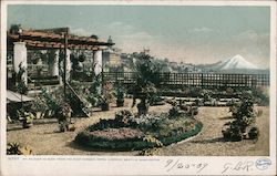 Mt. Ranier As Seen From The Roof Garden Hotel Lincoln Seattle, WA Postcard Postcard Postcard