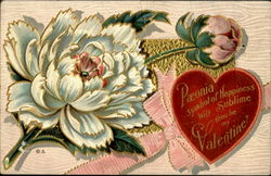 Paeonia Postcard