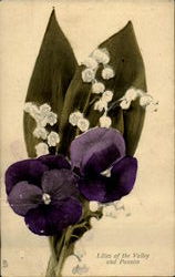 Lilies Of The Valley An Pansies Flowers Postcard Postcard