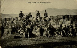 Hay Used For Fortifications Military Postcard Postcard