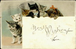 Best Wishes From Lena Cats Postcard Postcard