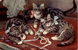 Kittens Postcard