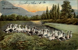 The Goose Parade Postcard