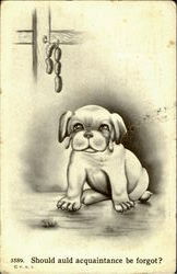 Should Auld Acquaintance Be Forgot? Dogs Postcard Postcard