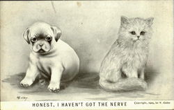 Honest I Haven't Got The Nerve Dogs Postcard Postcard