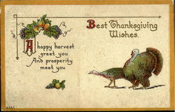 Best Thanksgiving Wishes Postcard