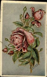 Roses Flowers Postcard Postcard