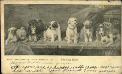 The Dog Show Postcard