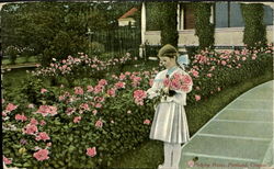 Picking Roses Portland, OR Postcard Postcard