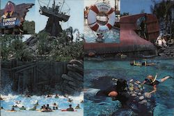 Typhoon Lagoon, Walt Disney World Postcard