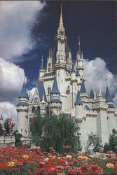 Cinderella's Castle Postcard