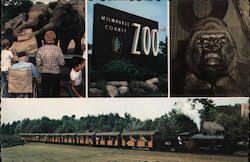 Milwaukee County Zoological Park Wisconsin C.J. Wilson Postcard Postcard Postcard