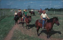 Horseback Riding, Trail Ridge Camp Cherith Postcard