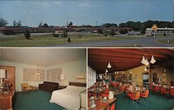 El Dorado Motel and Restaurant Postcard