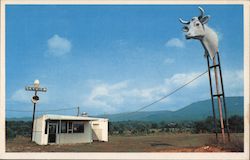 Skyview Drive-Inn, Virginia Photographic Art Postcard Postcard Postcard