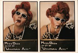 Miss Dish - Caught in the Act Postcard