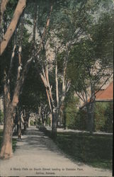 A Shady Path on South Street Leading to Oakdale Park Postcard