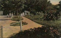 Scene in Oakland Park Postcard