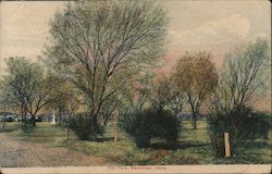 View of City Park Postcard