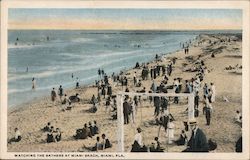 Watching the Bathers at Miami Beach Florida Postcard Postcard Postcard