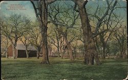 Emporia Chautauqua Grounds Kansas Postcard Postcard Postcard