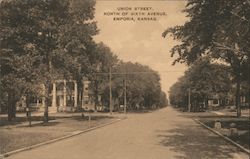 Union Street, North of Sixth Avenue Postcard