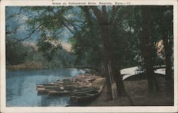 Scene on Cottonwood River Emporia, KS Postcard Postcard Postcard