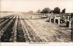 Harvesting Onions Erieau, ON Canada Ontario Postcard Postcard Postcard