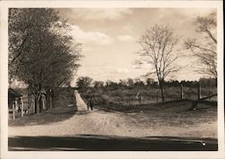 Scenic Lane Postcard