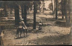 Horseback Riding - Seven OaksTrail Postcard