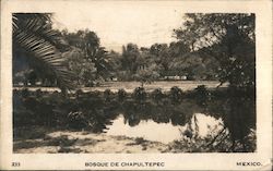 Bosque de Chapultepec Mexico Postcard Postcard Postcard