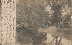 Creek in the Woods Wilton Junction, IA Postcard Postcard Postcard