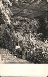 A Lovely Spot in the Rock Gardens at Knott's Berry Place Buena Park, CA Postcard Postcard Postcard