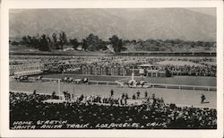 Home Stretch Santa Anita Track Postcard